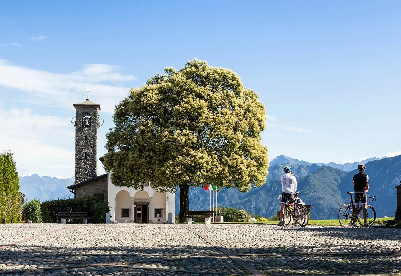 2 cyclists admiring the view next to a large tree.