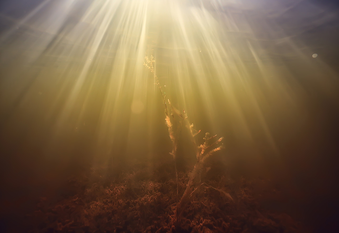 Sunbeams shining through dark underwater scene