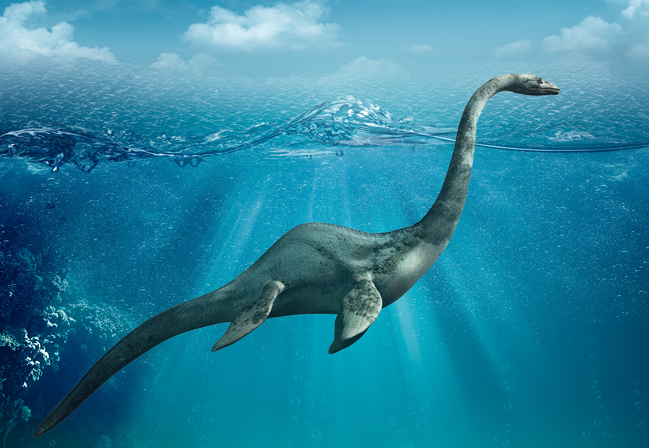 A dinosaur, known as Lariosaurus, gracefully swimming in the vast ocean