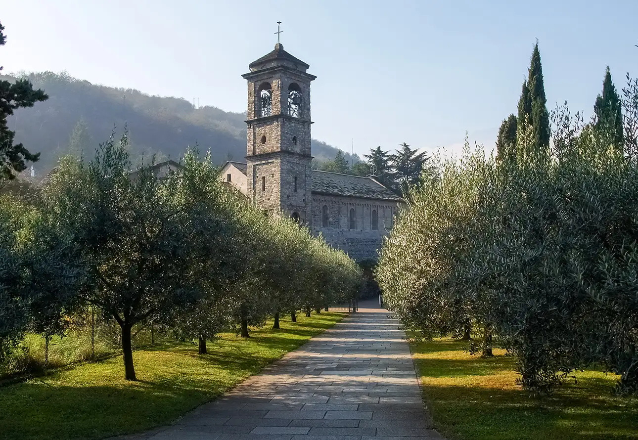 A serene path lined with olive trees leads to Piona Abbey, a church adorned with beautiful frescoes.