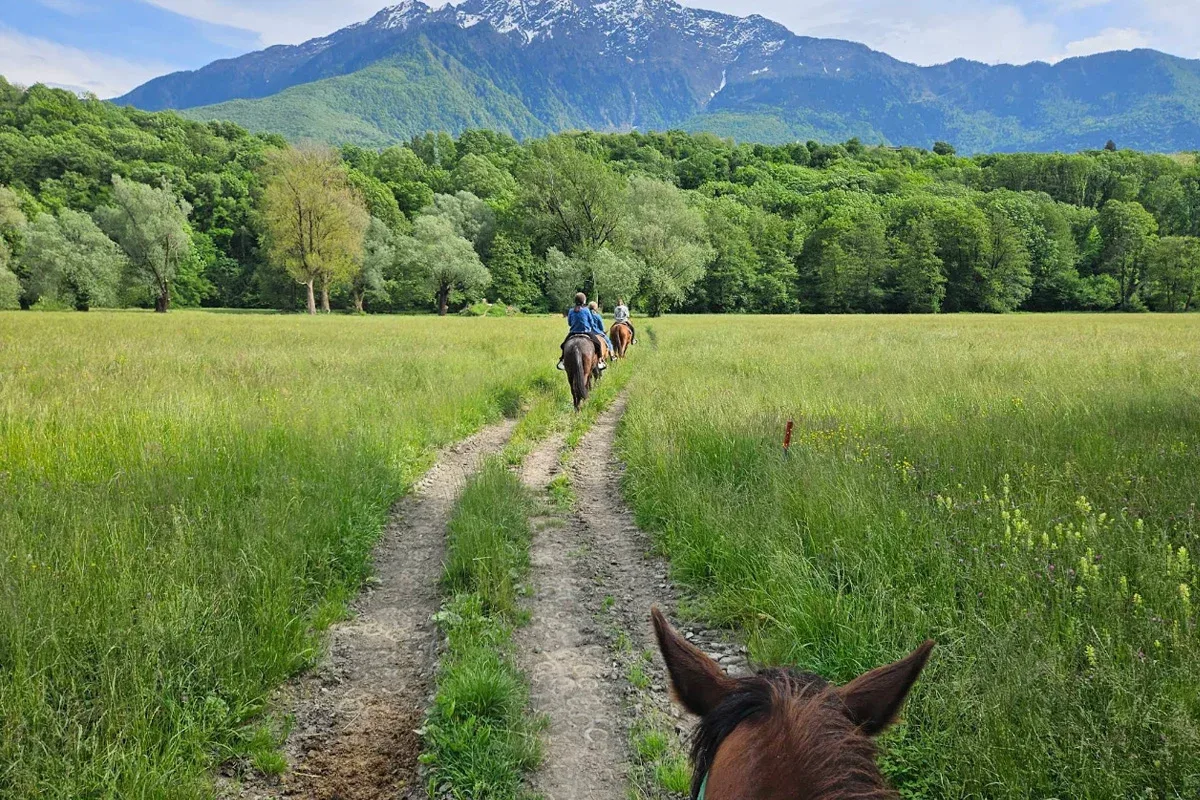 horseriding main